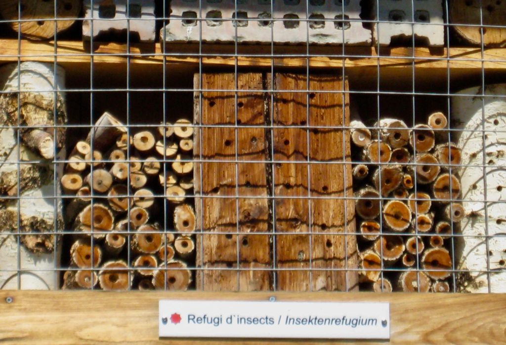 Insect refuge