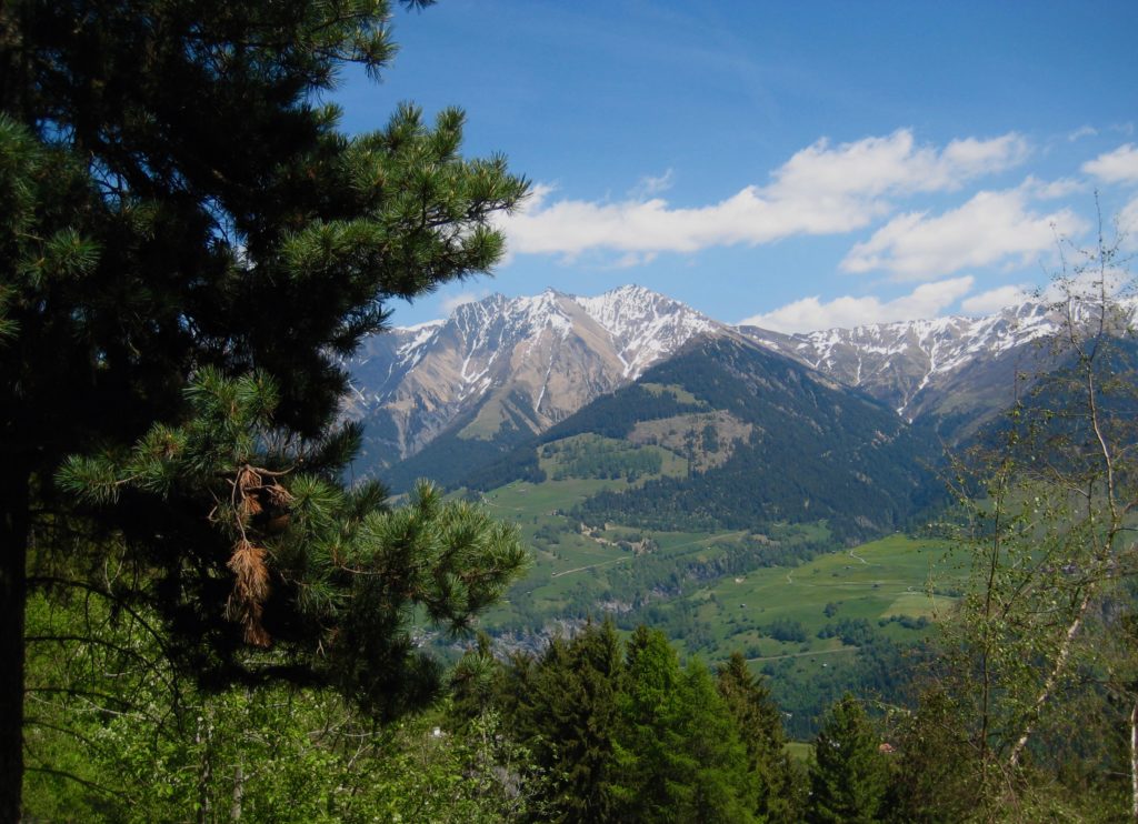 Valley view