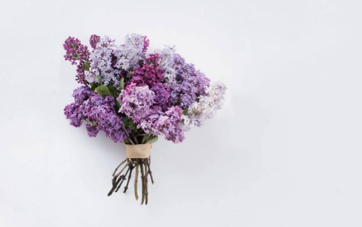 Meanings of the Most Popular Wedding Flowers